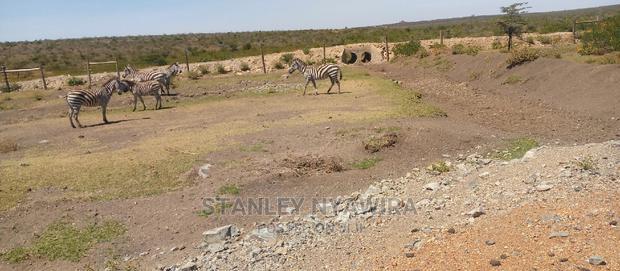 Lands in Endana Nanyuki