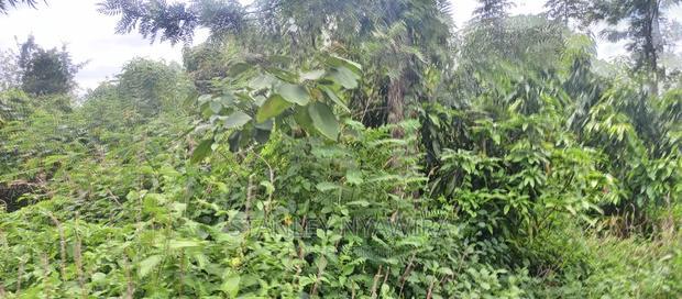 9 Acreas Touching River Nanyuki Burguret