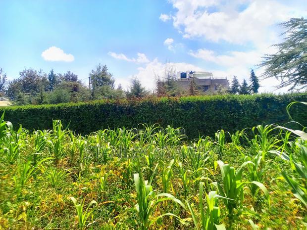 Plot For Sale Nanyuki Intrukuma