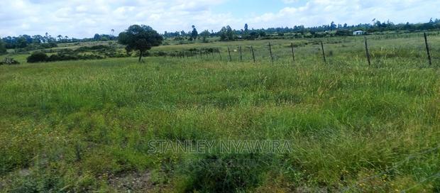 One Acreas Nanyuki Mirera