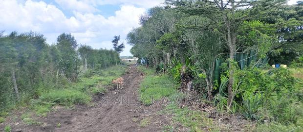 One Acreas Nanyuki Mirera