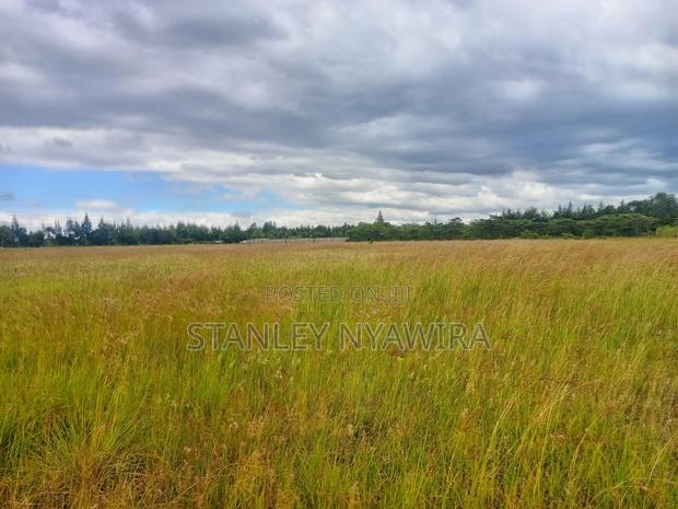 One and Quarter Acre for Sale Nanyuki Nyeri Highway