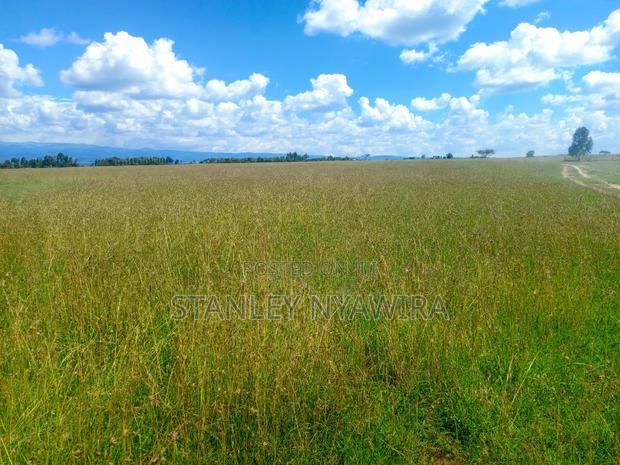 4 Acres for Sale Nanyuki Gobit
