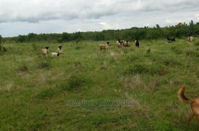 0ne Acre Nanyuki (Tetu)
