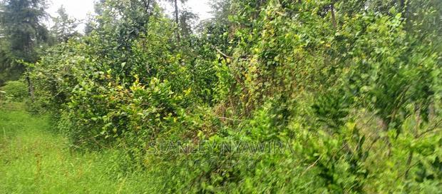 9 Acreas Touching River Nanyuki Burguret
