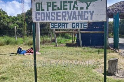 44 Acreas Nanyuki Ereri