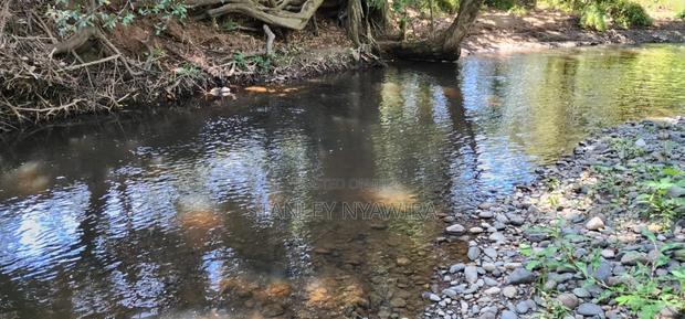 12 Acreas Nanyuki Narumoro Fronting River