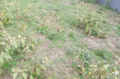 Plot Slightly Bigger Than Eight Nanyuki Baraka