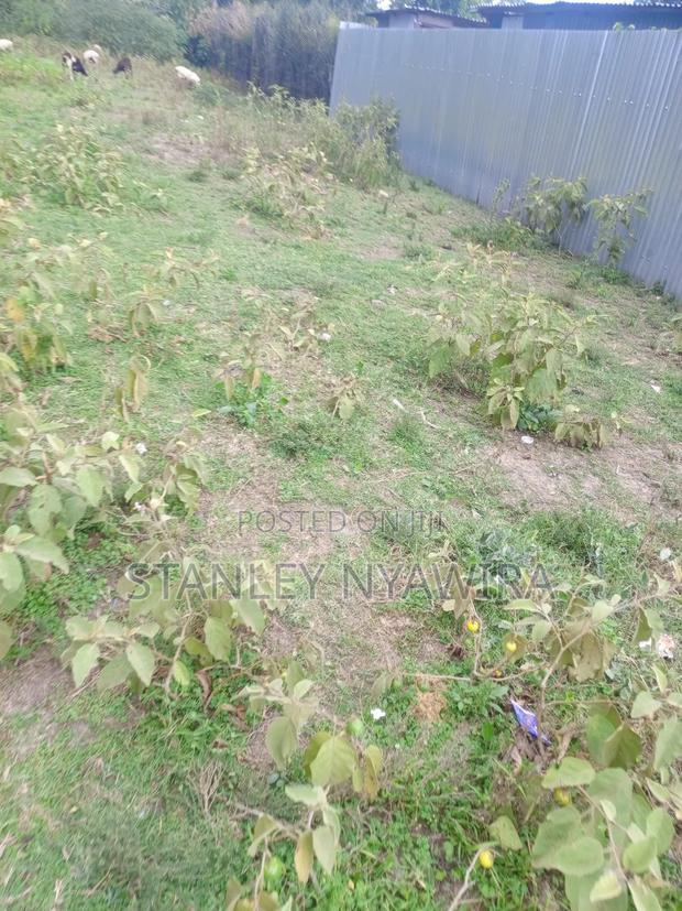 Plot Slightly Bigger Than Eight Nanyuki Baraka