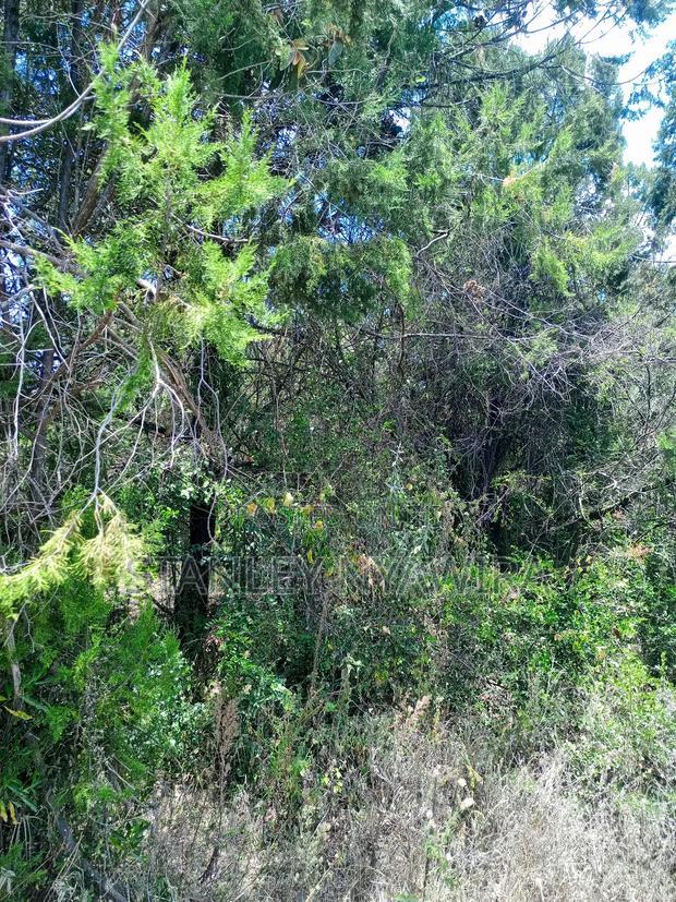 Prime 7.5 Acreas Opposite Nanyuki Landing Place
