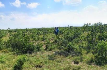 Buy Two Acreas of Land Nanyuki Olopajeta