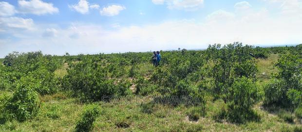 Buy Two Acreas of Land Nanyuki Olopajeta