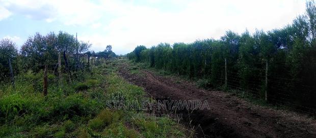 One Acreas Nanyuki Mirera