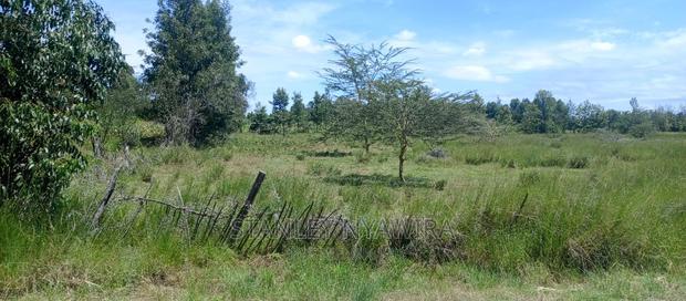 Beautiful 3 Acreas Nanyuki Behind Airstrip