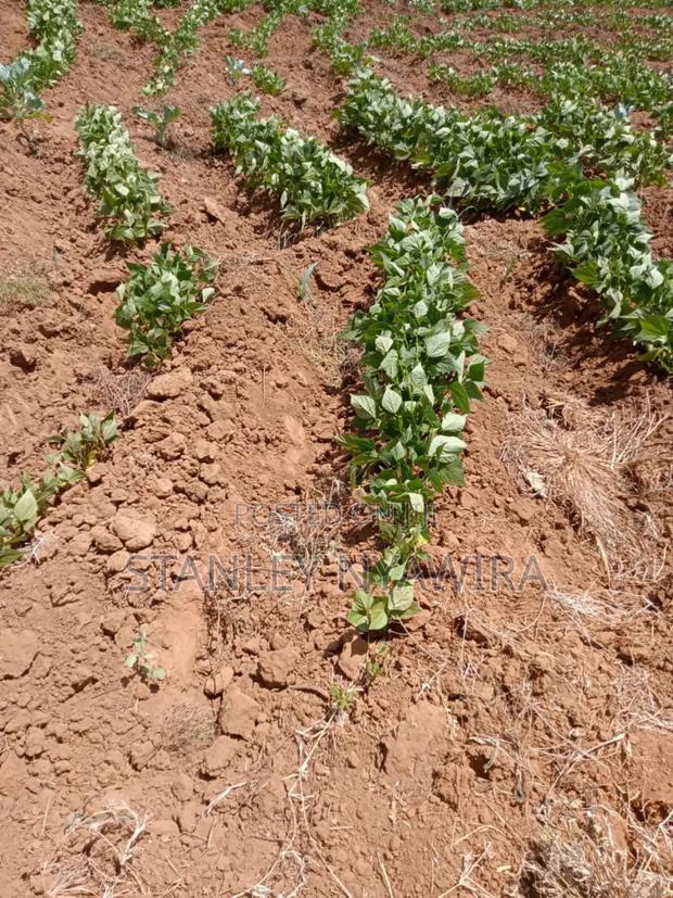 10000 Acreas for Sale Nanyuki