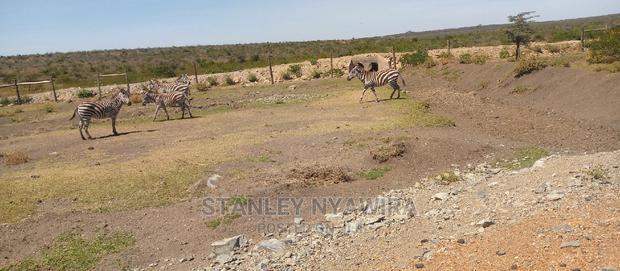 Lands in Endana Nanyuki