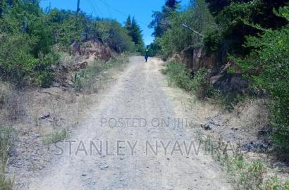 Prime 7.5 Acreas Opposite Nanyuki Landing Place