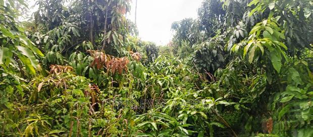 9 Acreas Touching River Nanyuki Burguret