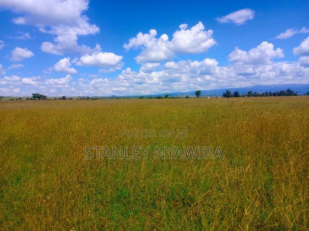4 Acres for Sale Nanyuki Gobit