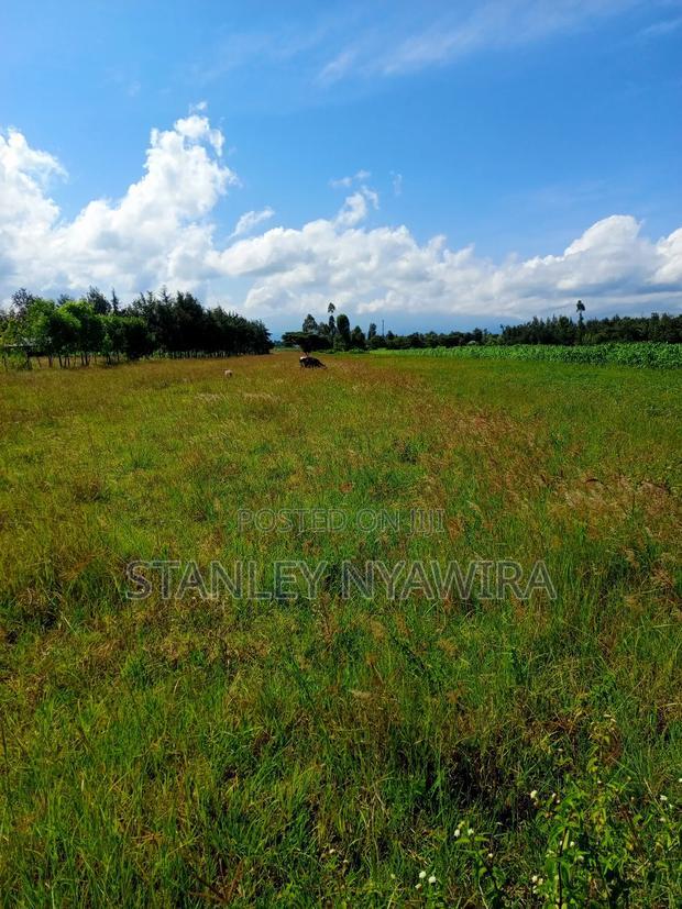 7 Acreas Nanyuki Burgret