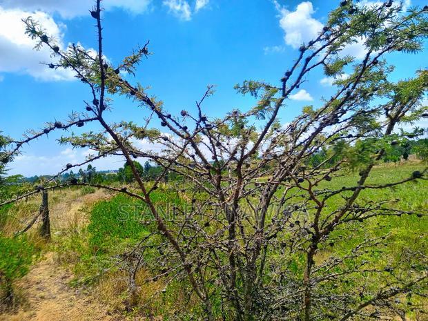 Prime 7.5 Acreas Opposite Nanyuki Landing Place