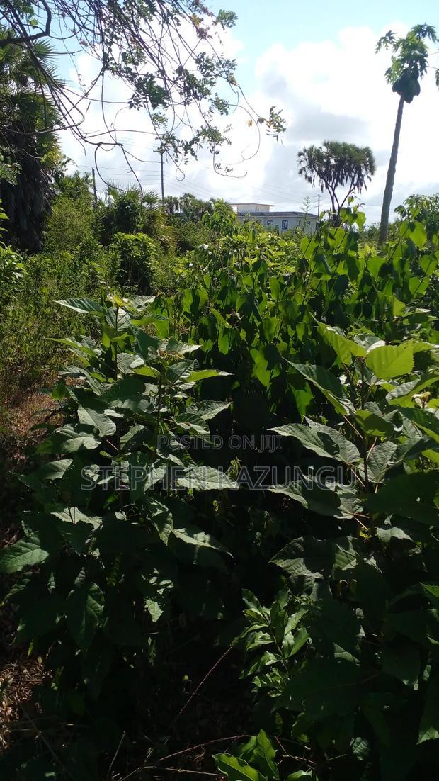 1/4 Acre Plot on Beach 3 Row, in Galu Beach