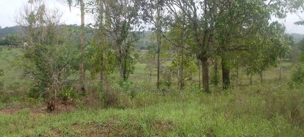 5 Acres Land Treasure in Kwale Only 200 M From Tarmac Road
