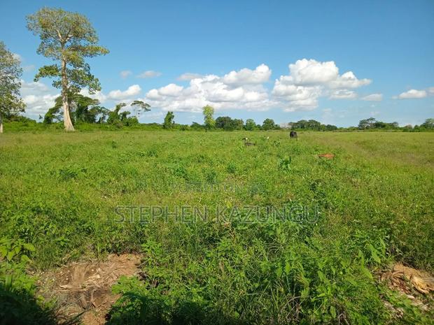 Treasure of 21 Acres of Land on Sale in Malindi at Singwaya.