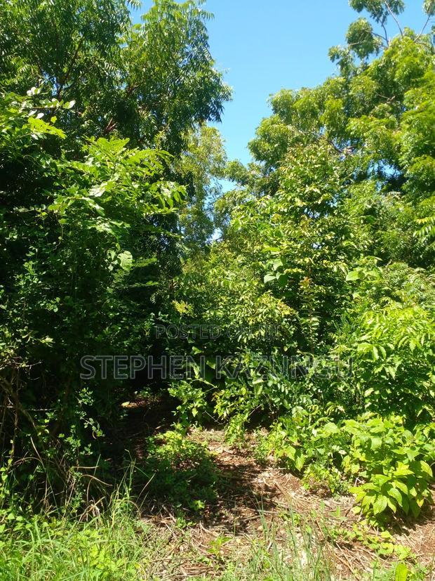 1/2 Acre Plot at End of 2nd Row, in Diani Beach.