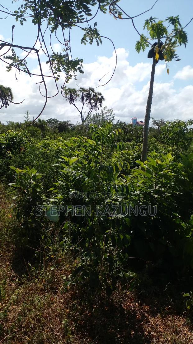 1/4 Acre Plot on Beach 3 Row, in Galu Beach