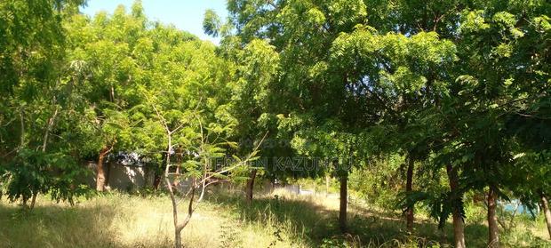 1/2 Acre Beach Plot on Sale in Galu Beach