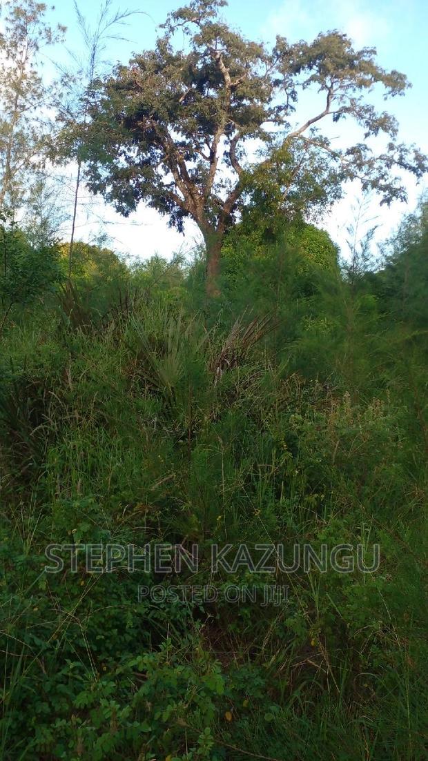 1/2 Acre Treasure Plot on Sale in Mwabungo Colarado