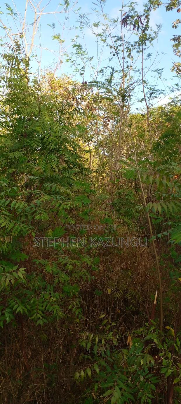 1/2 Acre Plot on Sale in Behind Sundowner Galu Beach