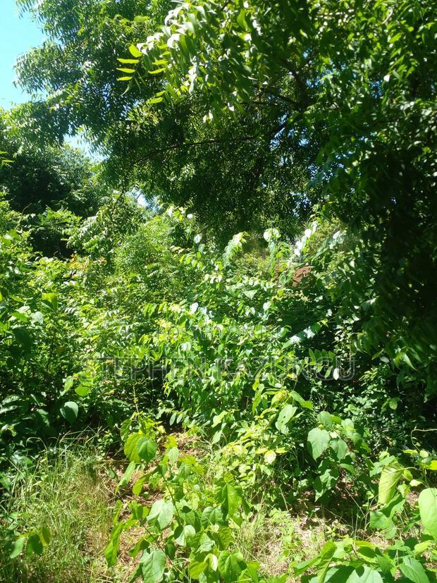 1/2 Acre Plot at End of 2nd Row, in Diani Beach.