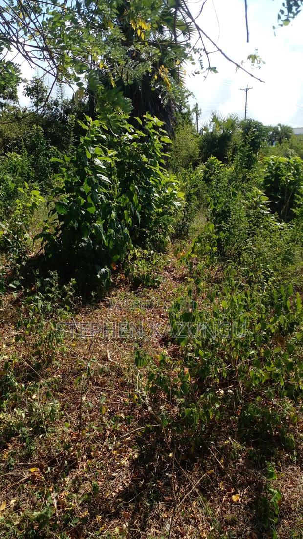 1/4 Acre Plot on Beach 3 Row, in Galu Beach