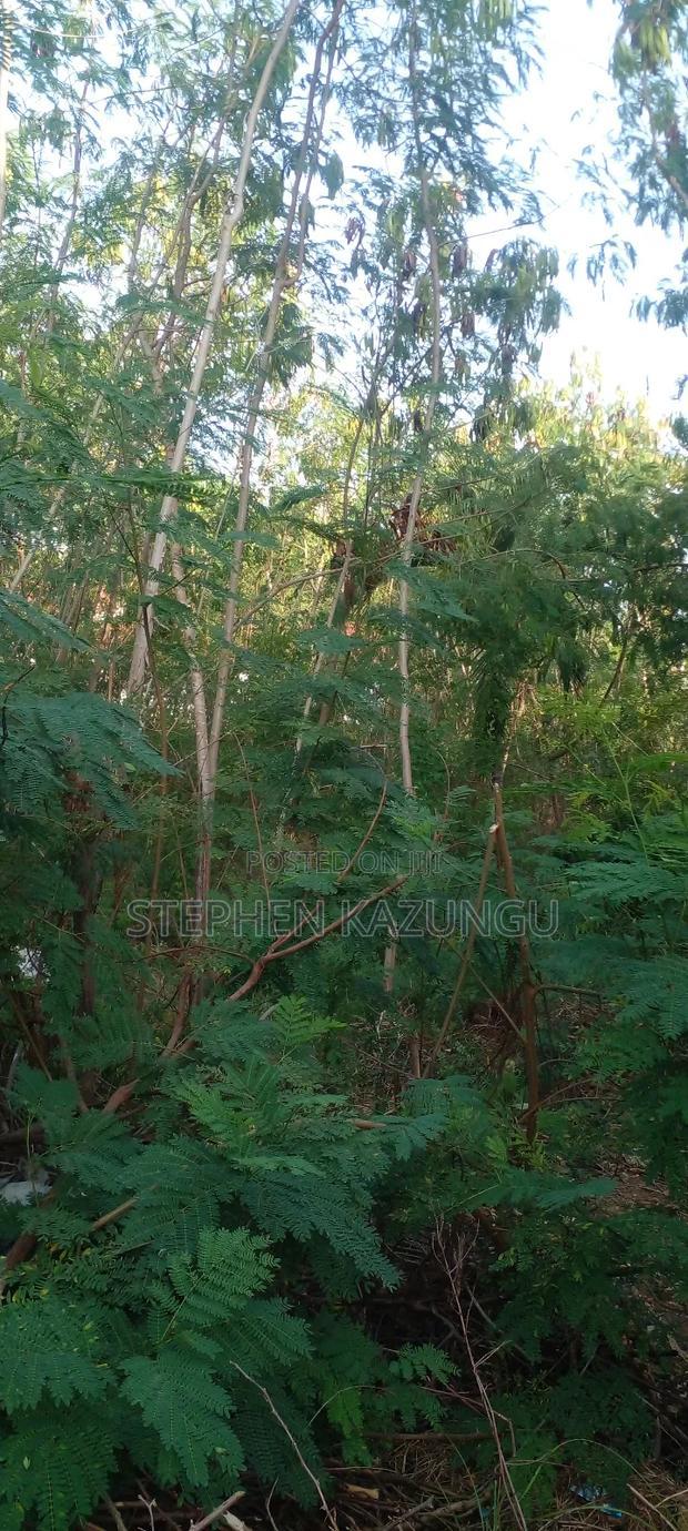 Galu Beach 2nd Row 1/2 Acre on Sale