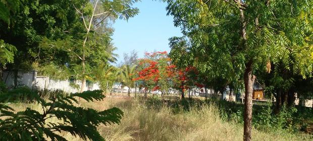 1/2 Acre Beach Plot on Sale in Galu Beach