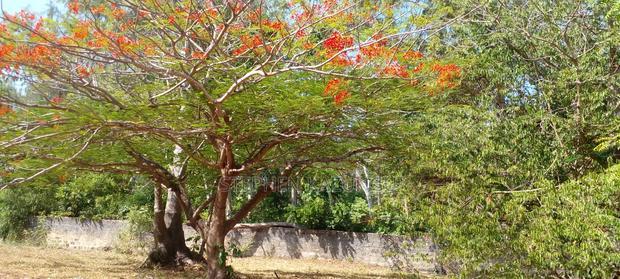 2 Acres 1/4 Beach Plot on Sale in Galu Beach