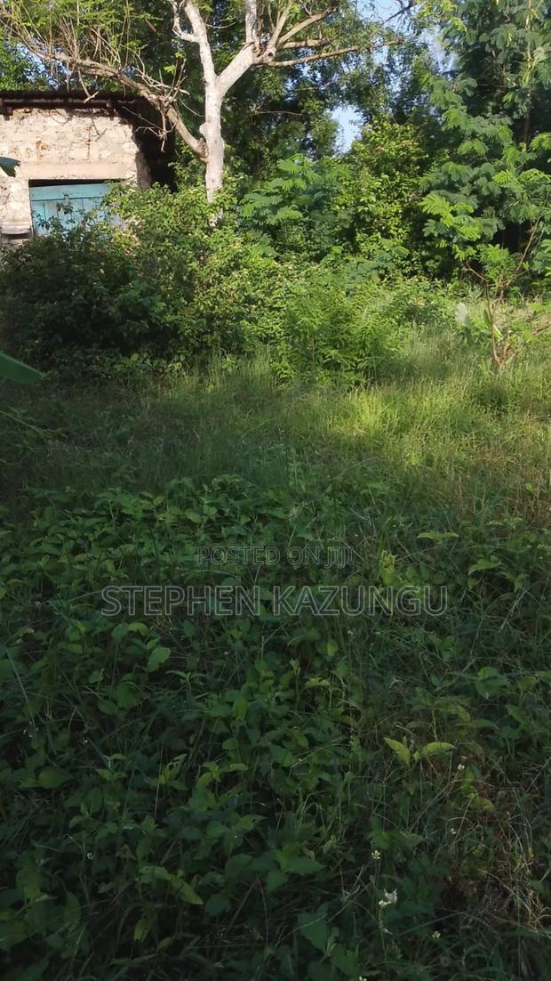 1/4 Acre Plot With Water Tower Ready on Power in the Plot