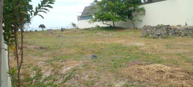 1 Acre Clear Sandy Beach Plot on Sale in Galu Beach