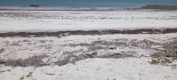 3 Acres Beach Plot Touching Clear Sandy on Blue Sea Water.