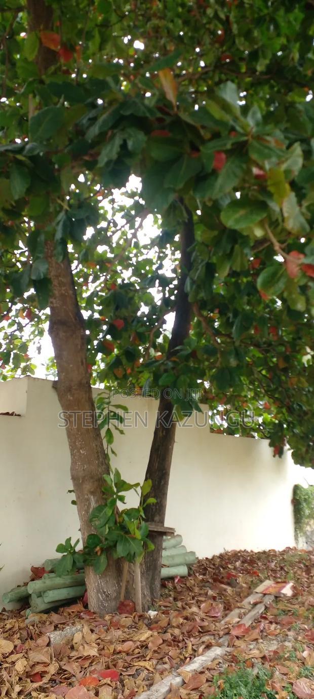 1 Acre Clear Sandy Beach Plot on Sale in Galu Beach