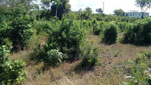 1/4 Acre Plot on Beach 3 Row, in Galu Beach
