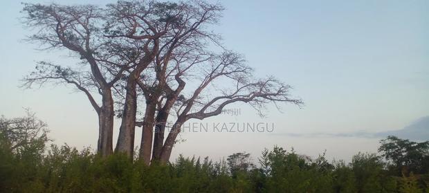 3.5 Acres Beach Plot on Sale in Galu Kinondo Beach
