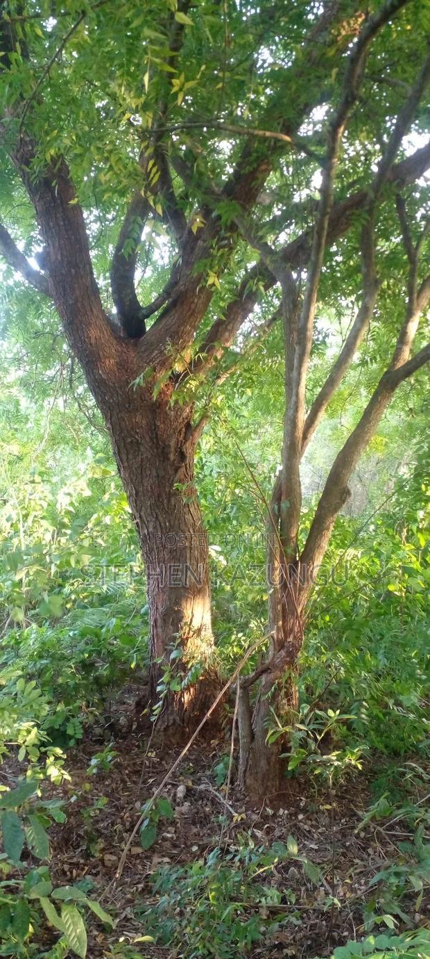 Diani Beach 1 Acre Plot on 3rd Row for Sale Behind Manyatta.