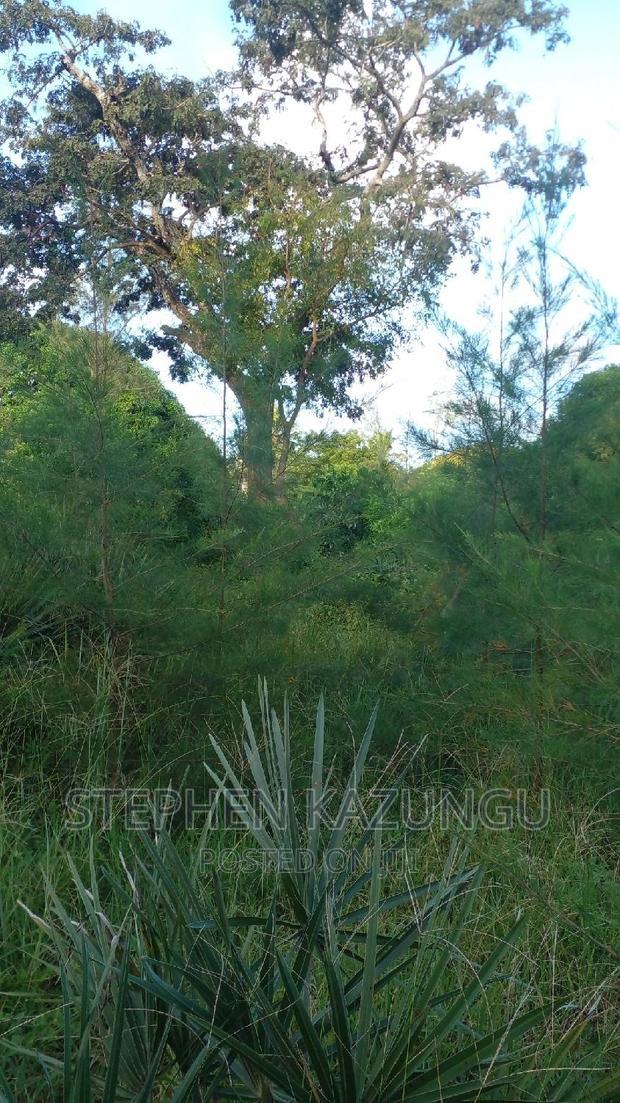 1/2 Acre Treasure Plot on Sale in Mwabungo Colarado