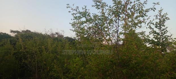 3.5 Acres Beach Plot on Sale in Galu Kinondo Beach