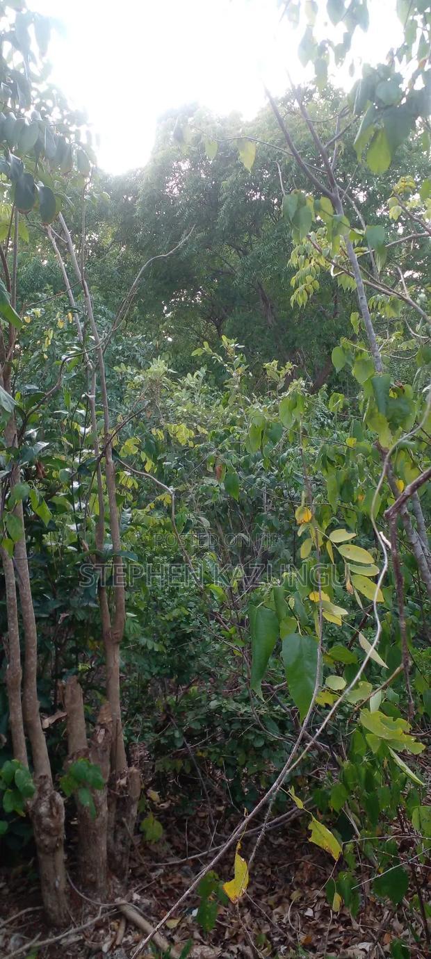 Diani Beach 1 Acre Plot on 3rd Row for Sale Behind Manyatta.