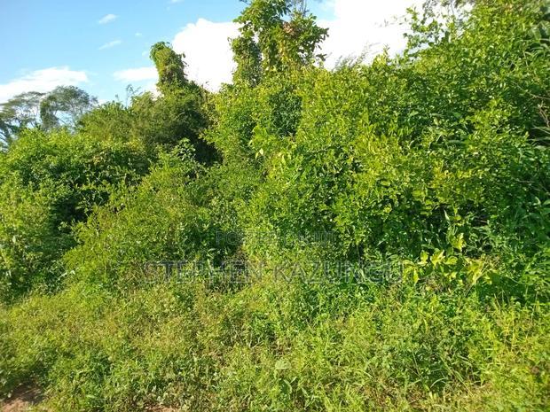 Treasure of 21 Acres of Land on Sale in Malindi at Singwaya.