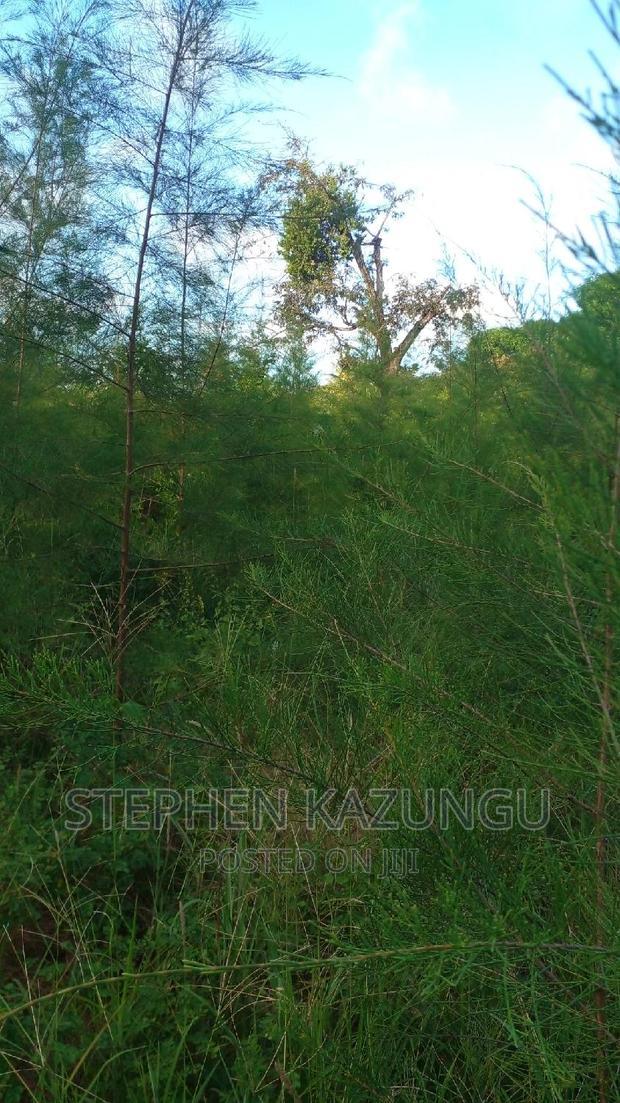 1/2 Acre Treasure Plot on Sale in Mwabungo Colarado